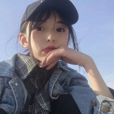 遨游欧洲模拟器手机版下载